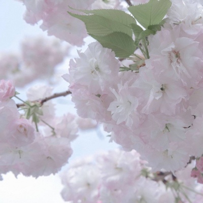 宽城FurryQQ群介绍